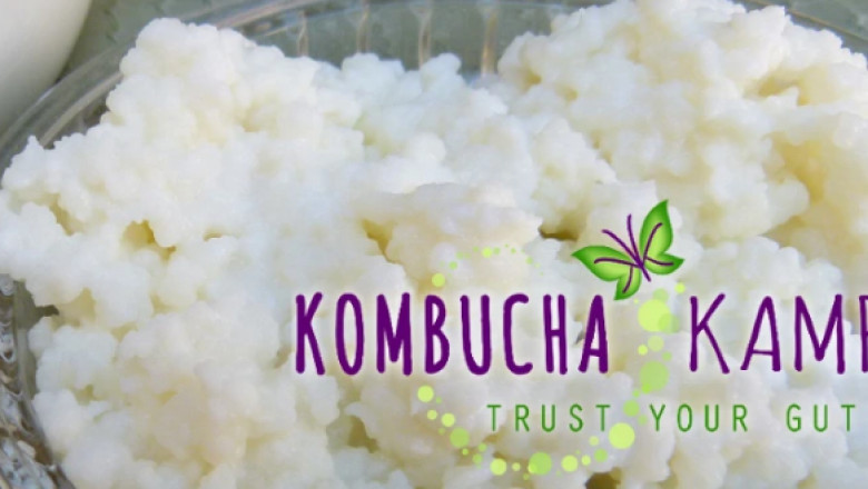 What are the Benefits of eating Milk Kefir Grains?
