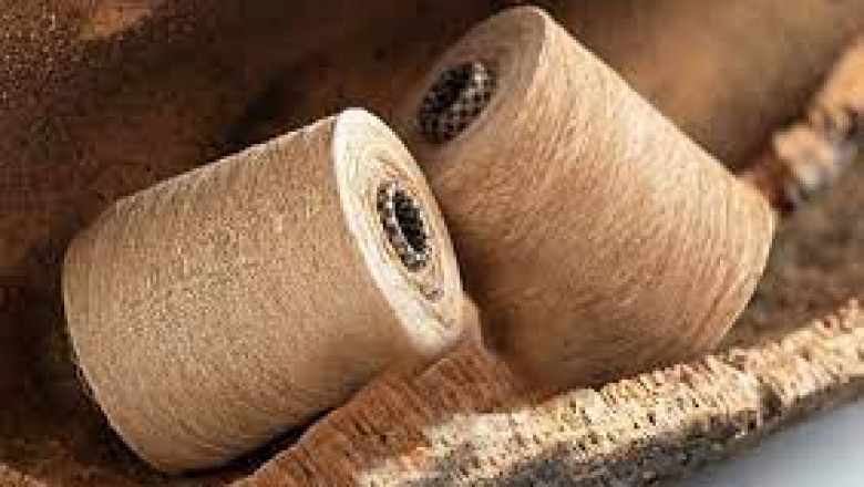 Eco Fiber Market Size, Status, Growth | Industry Analysis Report 2020-2028