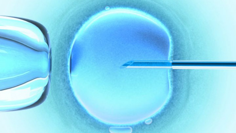 Fertility Doctor in Indore | Best Infertility Hospital