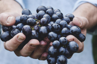 how to have a home safe as part of your valuables