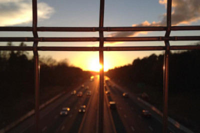 how to puppyproof your own home