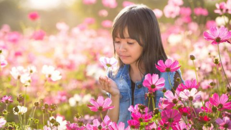 Insights on the Allergy Immunotherapy