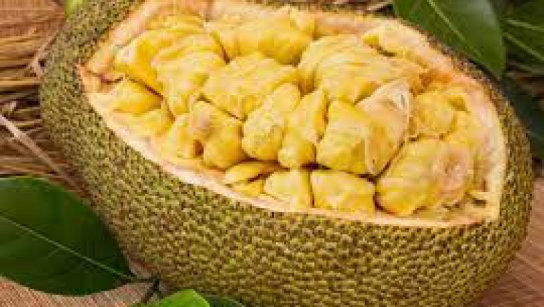 Jackfruit Market Share, Revenue and Growth Analysis Report Till 2028 | Value Market Research