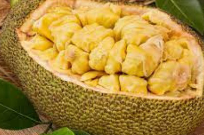 Jackfruit Market Share, Revenue and Growth Analysis Report Till 2028 | Value Market Research