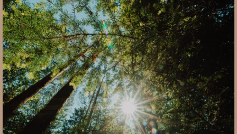 Modular houses - Foldable modular homes benefits