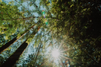 Modular houses - Foldable modular homes benefits