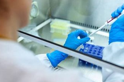 Veterinary Antimicrobial Susceptibility Testing Market 2022 | Industry Demand, Fastest Growth, Opportunities Analysis and Forecast To 2028