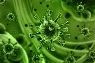 Virus Filtration Market 2022 Size, Key Players & Forecast Report to 2028