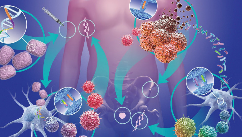 What are the Causes of Graft Versus Host Disease (GvHD)?