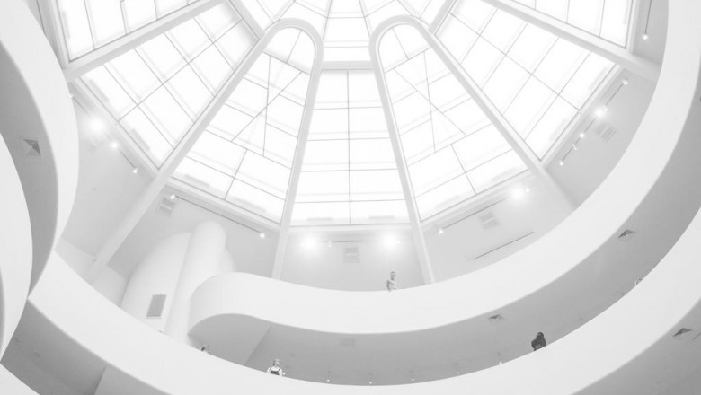 yorkie puppies for sale near me