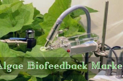 Algae Biofeedback Market 2022 Key Players, Share & Forecast Report to 2028
