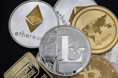 All You Need to Know About the Best Crypto Insurance