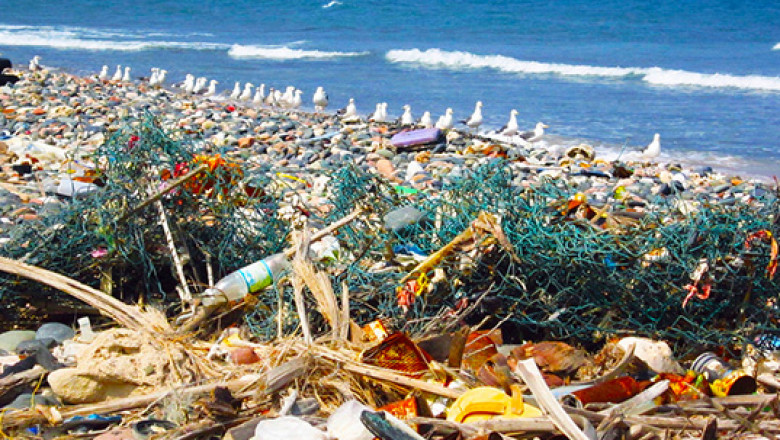 Recycled Ocean Plastics Market Demand Analysis, Statistics, Industry Trends And Investment Opportunities To 2028