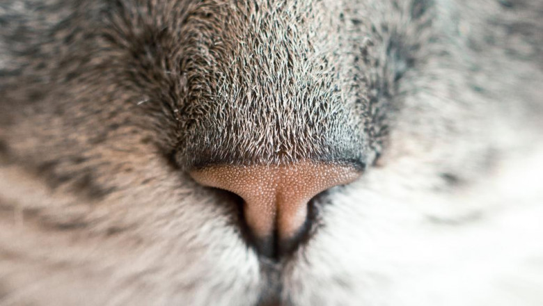 the most common mistakes people make with 247 creative co agency australia