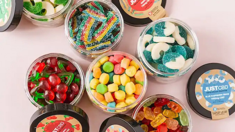 5 Interesting points While Purchasing CBD Oil for Your Canines