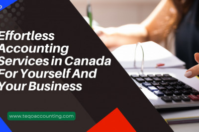 Account Auditing Services Provided by Accounting Firms