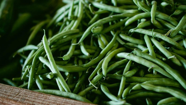 family therapy for autism spectrum disorders aba therapist