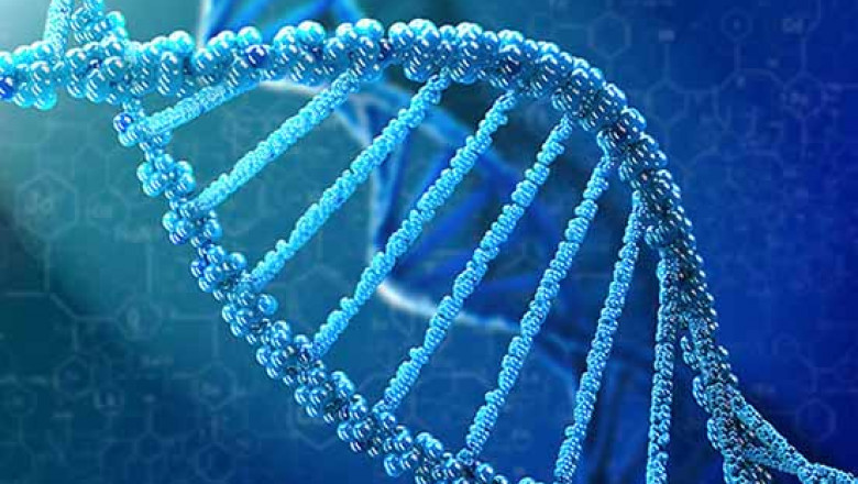 In Order To Emphasize Their Differences And Similarities With Antibodies, Aptamers Are Often Referred To As Chemical Antibodies