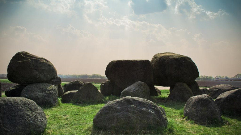 largest choice of wood fired pizza ovens