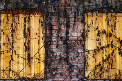 types of wood used in antique tools