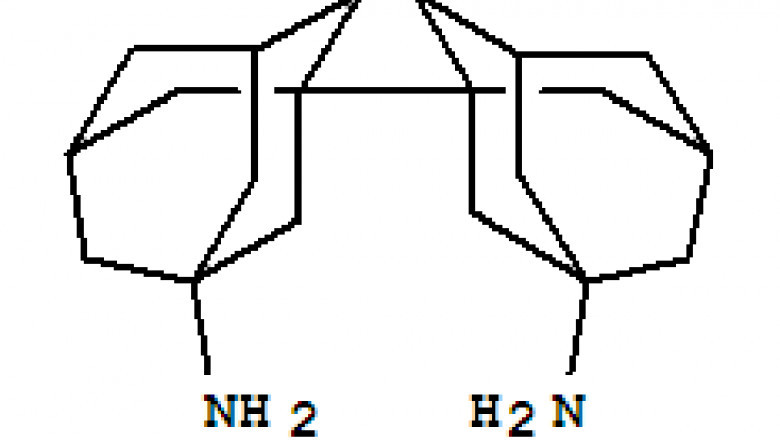 Decane Diamine Market Size, Share, Regional Overview and Global Forecast to 2028