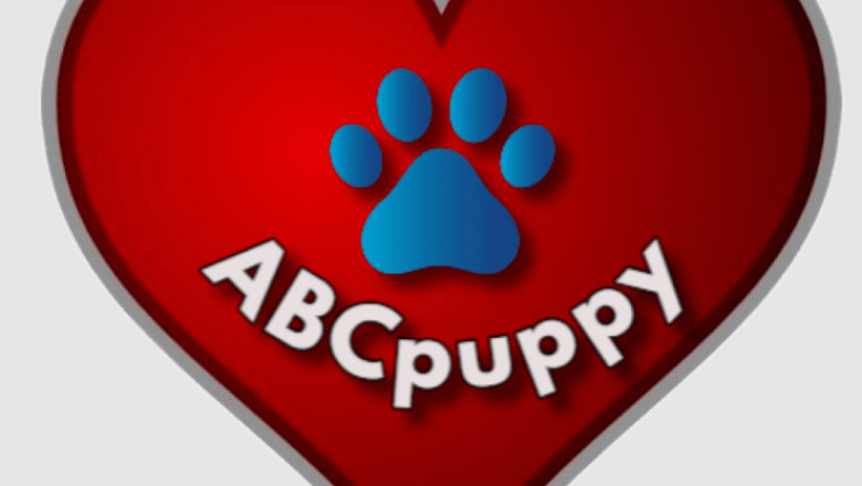 From Texas Puppies For Sale, You Can Find Your Favorite Pup
