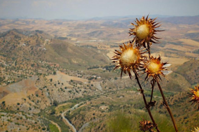 how to get money when you are broke