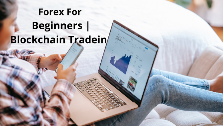 How To Make Forex For Beginners?