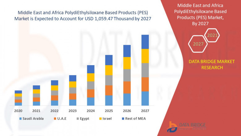 Middle East and Africa PolydiEthylsiloxane Based Products (PES) Market Scope and Market Size