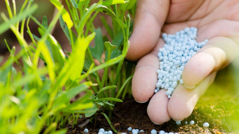 Nitrogenous Fertilizers Market 2022 Major Key Players and Industry Analysis Till 2028