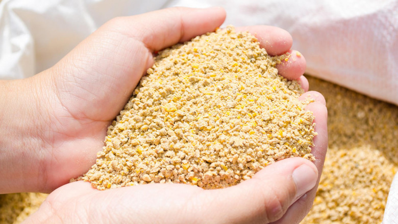 Poultry Feed : A Highly Nutritious Meal That Maintains The Health Of Poultry Birds