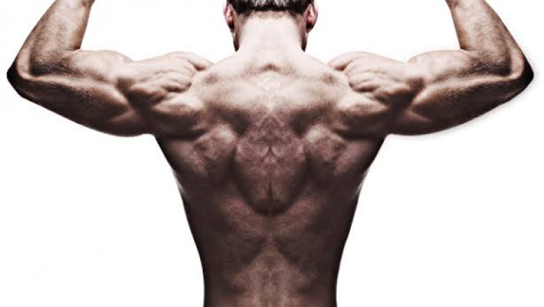 shivamfitness