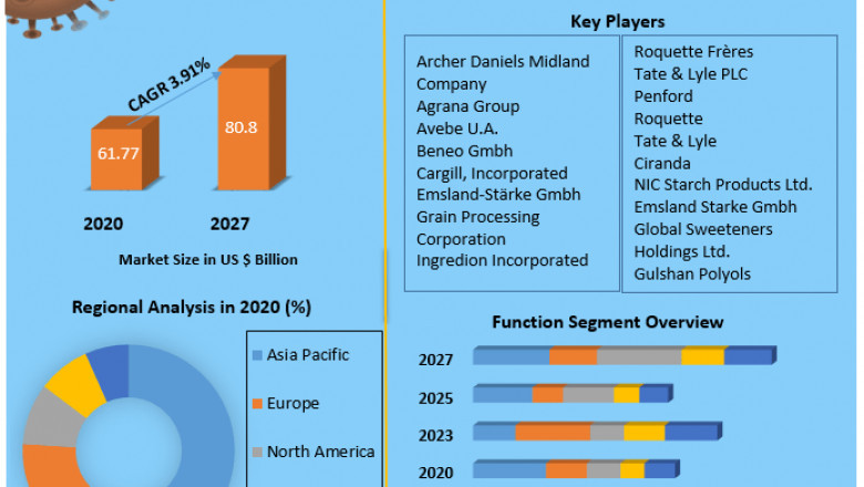 Starch Derivatives Market Analysis of The Major Products, Application Segments And Market Size with sales volume and Supply