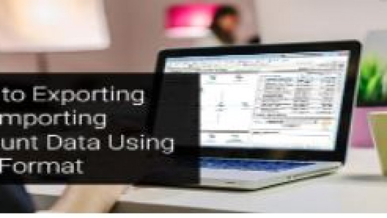 Step to Exporting and Importing Account Data using CSV Format in Sage