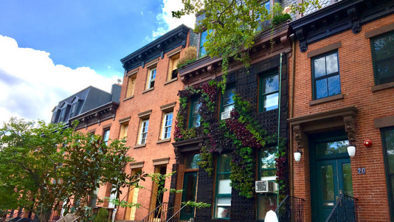 What do you need to know about the Brooklyn Famous Slumlords?