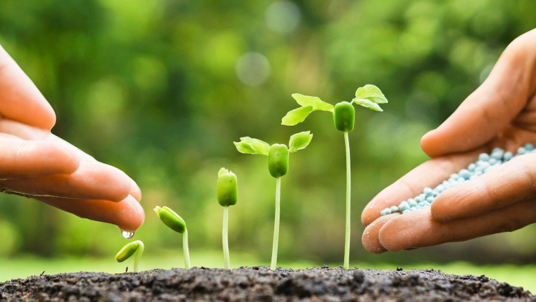 Biopesticides Pose Less Risk Than Synthetic Pesticides Used Today