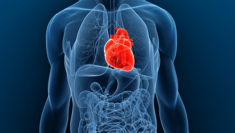 Transthyretin Amyloidosis Treatment Market Size, Share, Growth, Opportunities and Global Forecast to 2028