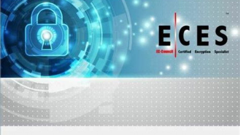 VCE 212-81 Dumps - EC-COUNCIL Test Certification 212-81 Cost, 212-81 Reliable Exam Braindumps