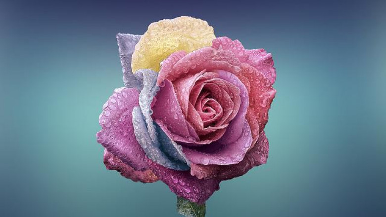 Benefits of Online Flowers Delivery