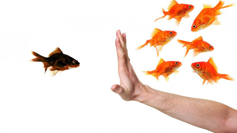 Ask a Workplace Discrimination Attorney: How Do You Prove Discrimination?