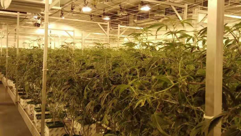 Multilayer Movable Vertical Grow Table