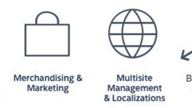 Valid Braindumps CCM-101 Free, Top CCM-101 Dumps | Exam CCM-101 Consultant