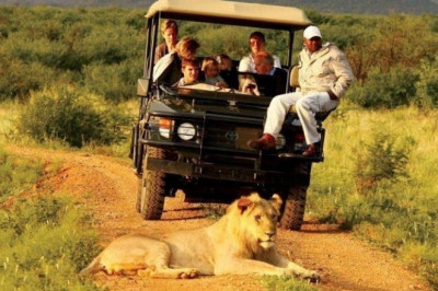 A Guide to choose the best Wildlife Safari packages in Africa