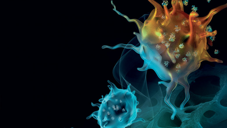 Know the Various Options available for Orthobiologics