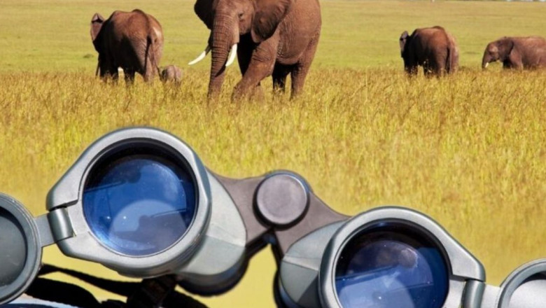 Kosher Safari Tour Packages