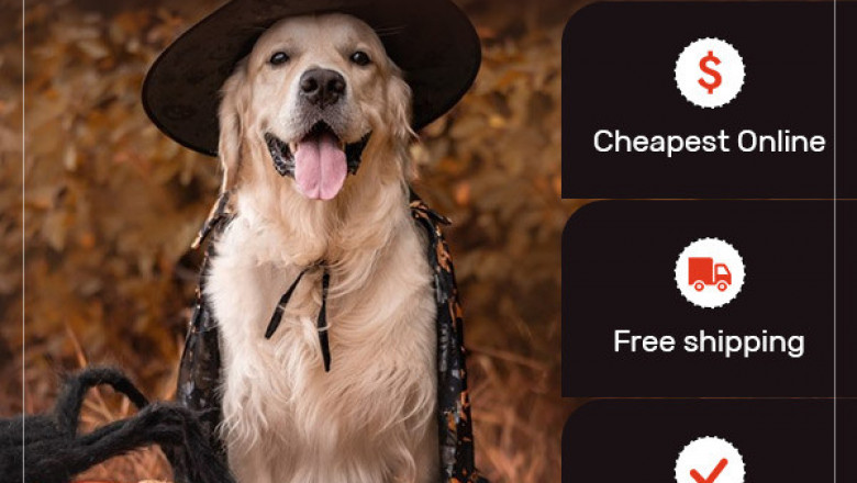 Knock Knock!!! MyPetSupplies surprises you with their special offers