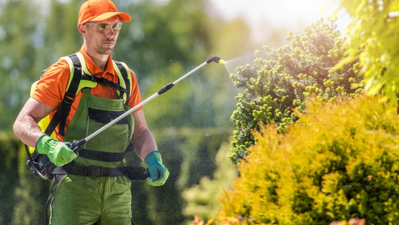 Pyrethroids Market Growth Production Analysis, Key Market Plans, Supply-Demand, Share and Size Elements and Recent Developments