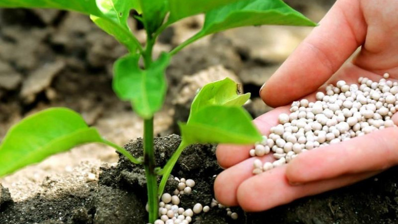 An analysis of the global Complex Fertilizers Market in 2025, including trends, shares, sizes, growth, opportunities, and forecasts
