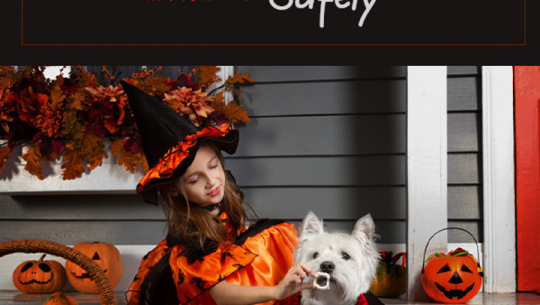 Celebrate Halloween Safely With Your Pets
