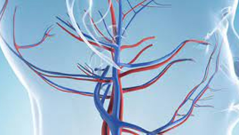Neurovascular Devices Market 2022 | Industry Demand, Fastest Growth, Opportunities Analysis and Forecast To 2028